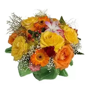 Ladyville flowers  -  Greet the Morning Flower Delivery