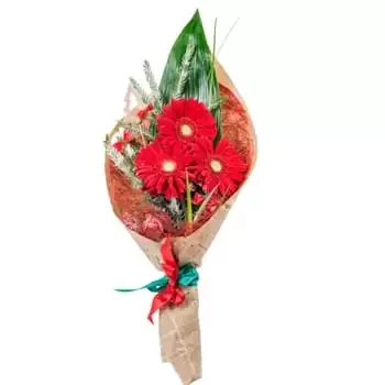 Santa Clara-virágok- Piros ünnep Virág Szállítás