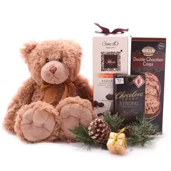 Cayman Islands flowers  -  Romantic Christmas Bear Set Delivery