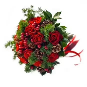 Bonaire cvijeća- Zimske crvene Cvjetni buket/aranžman