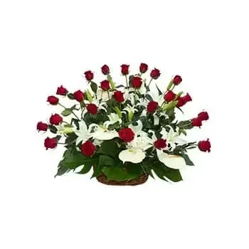 Benjamín Aceval rože- Mešanica klasike Cvet Dostava