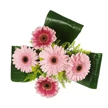 Balatonfoldvar 꽃- 핑크 터치 꽃 배달