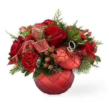 Houston Blumen Florist- Erstaunliche Feiertags-Gartennelken Bouquet/Blumenschmuck