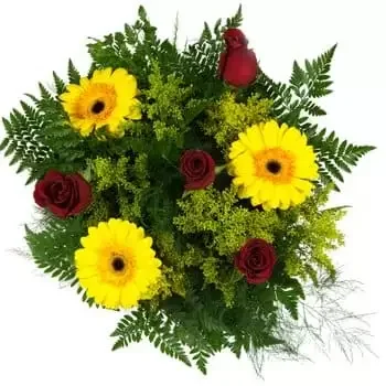 Chiriqui Grande blomster- Bright Sunshine and Burning Passion Bouquet Blomst Levering