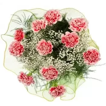 Ουάου λουλούδια- Μπουκέτο με καρναβάλι των γαρίφαλων Λουλούδι Παράδοση