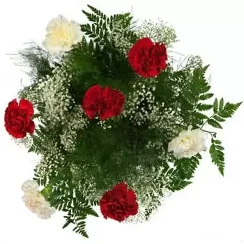 flores Aguilares floristeria -  Ramo Nube de Claveles Ramos de  con entrega a domicilio
