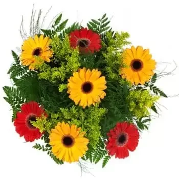 Seme-Kpodji flowers  -  Daisies Delight Bouquet Flower Delivery