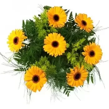 Хикалапа цветя- Дарлинг Дейзис в жълт букет Цвете Доставка