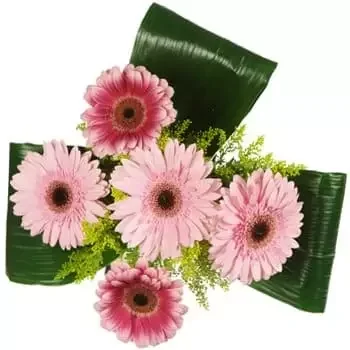 פנגו פרחים- זר חינניות יקירות פרח משלוח