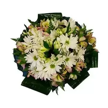 fiorista fiori di Lealataua- Bouquet da sogno Fiore Consegna