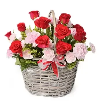 Balasinesti rože- Večne vrtnice Cvet Dostava