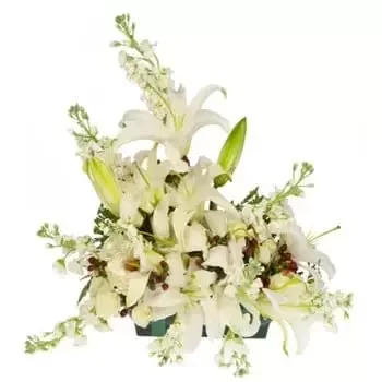 Κάμπο Λέντο λουλούδια- Heavenly Embrace Floral Centerpiece Λουλούδι Παράδοση