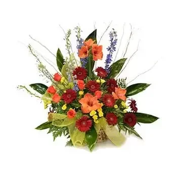 Bonaire Blumen Florist- Leidenschaften entzünden Bouquet/Blumenschmuck