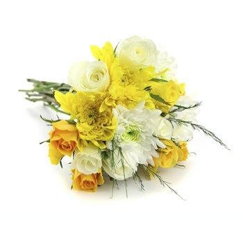  flowers  -  Bloom of Sunshine Baskets Delivery