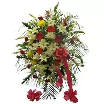 Panama rože- Cvetlični zaslon z živahnim spominom Cvet Dostava