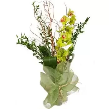 Britannian Neitsytsaaret kukat- Orkideatornin näyttö Kukka kukkakimppu