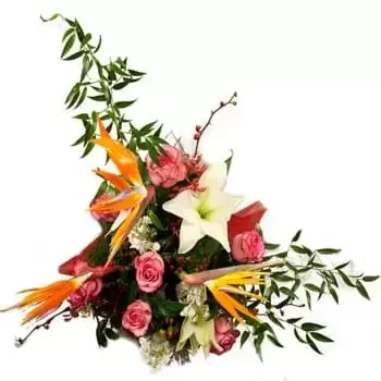 flores de Middle Caicos- Exotic Delights Floral Display Flor Entrega