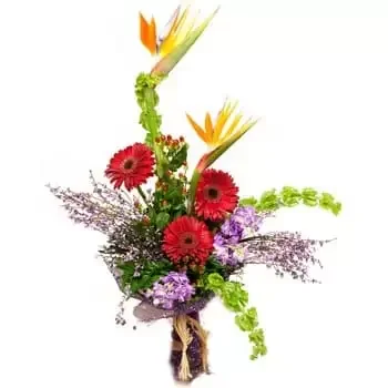Дъблин цветя- Букет от рай и маргаритки Цвете Доставка