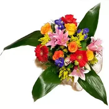 New Zealand flowers  -  Floral Fiesta Bouquet Baskets Delivery