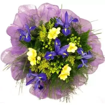 Andorra flowers  -  Rays of Sunshine Bouquet Baskets Delivery