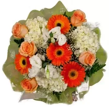 Al-Musayab flowers  -  Sun and Snow Bouquet Flower Delivery