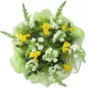 Санто Доминго цветя- Слънчев пролетен букет Букет/договореност цвете