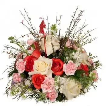 Costa Rica flowers  -  Friendship Love and Beauty Display Baskets Delivery