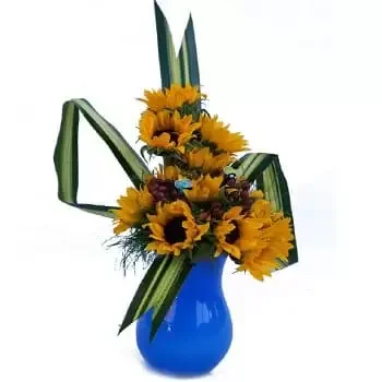 סיירני ברוד פרחים- זר שמש ופשטות פרח משלוח