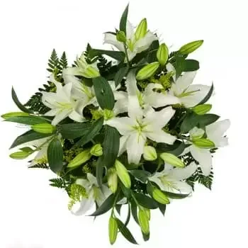 Καλόνγκα λουλούδια- Κρίνοι και απόλαυση Λουλούδι Παράδοση