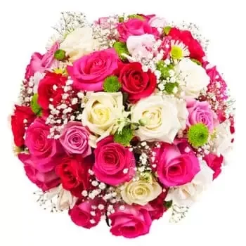 Borosenii Noi rože- Ljubitelji objemi Cvet Dostava
