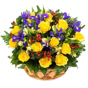 Curacao flowers  -  Lullaby Baskets Delivery