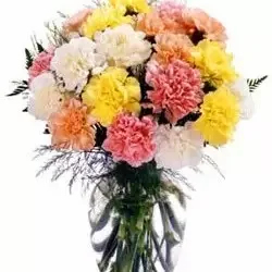 Μπενίν λουλούδια- Γάλα-Τοστ-Μέλι Λουλούδι Παράδοση