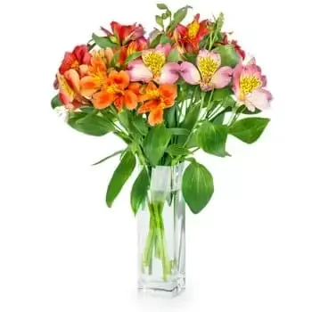 Cambodia flowers  -  Opulence Anytime Baskets Delivery