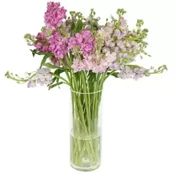 fleuriste fleurs de Lokwabe- Bouquet Nuage Pastel Fleur Livraison