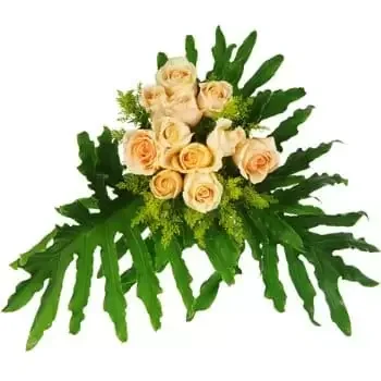 ברונובצה פרחים- אפרסקים וזר ירוק פרח משלוח