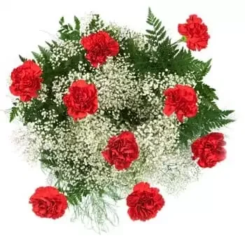 بائع زهور برمودا- قرنفل أحمر مثالي زهرة التسليم