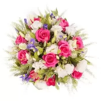 Μοζαμβίκη λουλούδια- Πριγκίπισσα Ροζ Μπουκέτο/ρύθμιση λουλουδιών