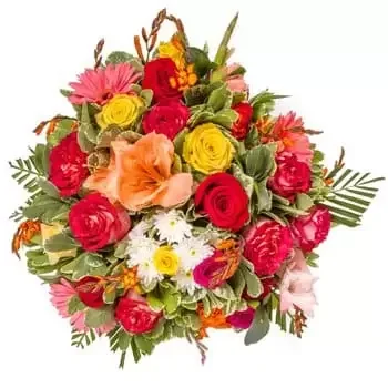 몰디브 꽃- 빨간색 대비 꽃다발/꽃꽂이