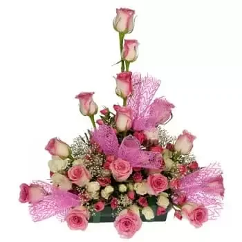 Karáčí kvety- Vrchol výbušniny ruží Aranžovanie kytice