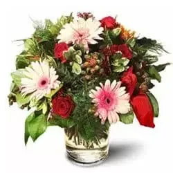 Eritrea blomster- Roser med Gerbera Tusenfryd Blomsterarrangementer bukett