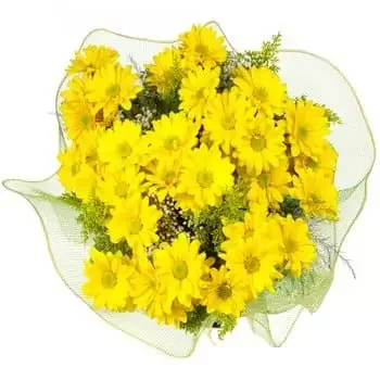 Kandrian Inland Rural цветя- Пролетен слънчев букет Цвете Доставка