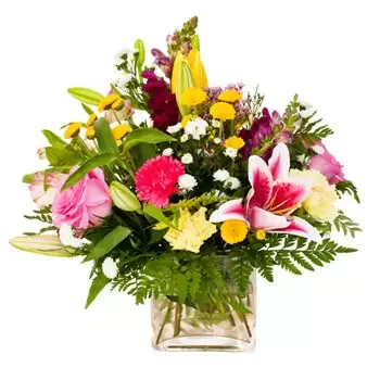 Latvia flowers  -  Summer Warmth Baskets Delivery
