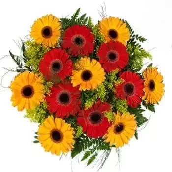 بائع زهور كانبالو- باقة الشمس والربيع زهرة التسليم