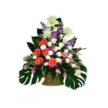 Britannian Neitsytsaaret kukat- Tarjoussuukkoja Kukka kukkakimppu