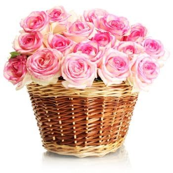 flores Bergen floristeria -  Amor en rosa 
