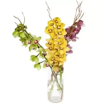 Færøyene blomster- Towering Orchids Display Blomst Levering