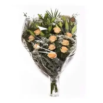 אלדרוואסלי פרחים- מקף אפרסק פרח משלוח