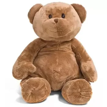 Sheffield Online Blumenhändler - Großer Teddybär Blumenstrauß