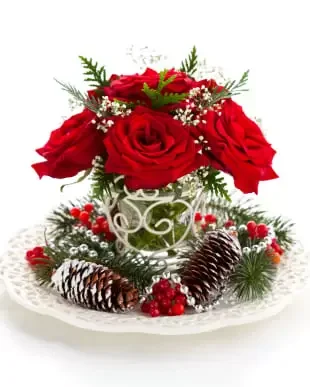 אלדרוואסלי פרחים- סידור חג המולד פרח משלוח