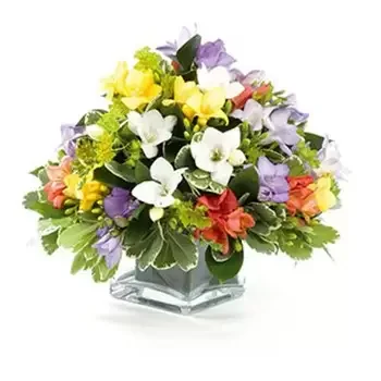 Algarkirk bunga- Susunan Cubicle Berwarna-warni Bunga Penghantaran